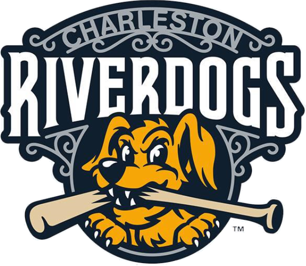 Charleston Riverdogs 2016-Pres Primary Logo iron on transfers for clothing